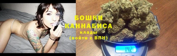 дмт Магас