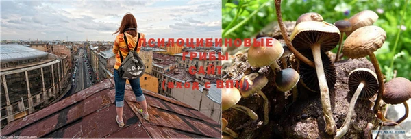 мдма Абдулино