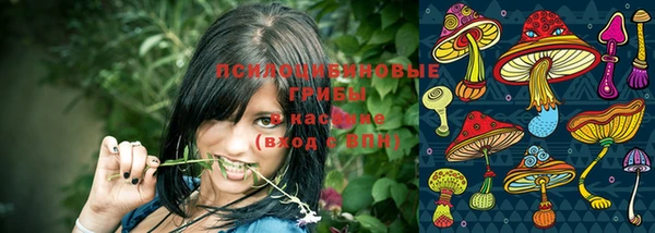 марихуана Абаза