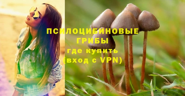 марихуана Абаза