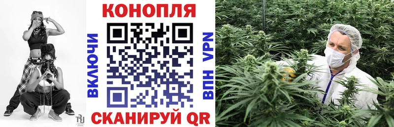 Шишки марихуана THC 21%  магазин продажи наркотиков  Апатиты 